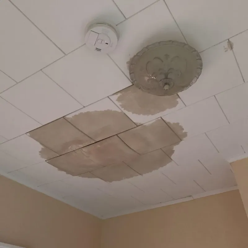 Ceiling Water Damage Repair in Prairie du Chien, WI