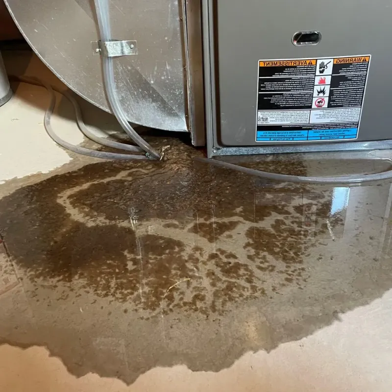 Pipe Burst and Leak Restoration in Prairie du Chien, WI